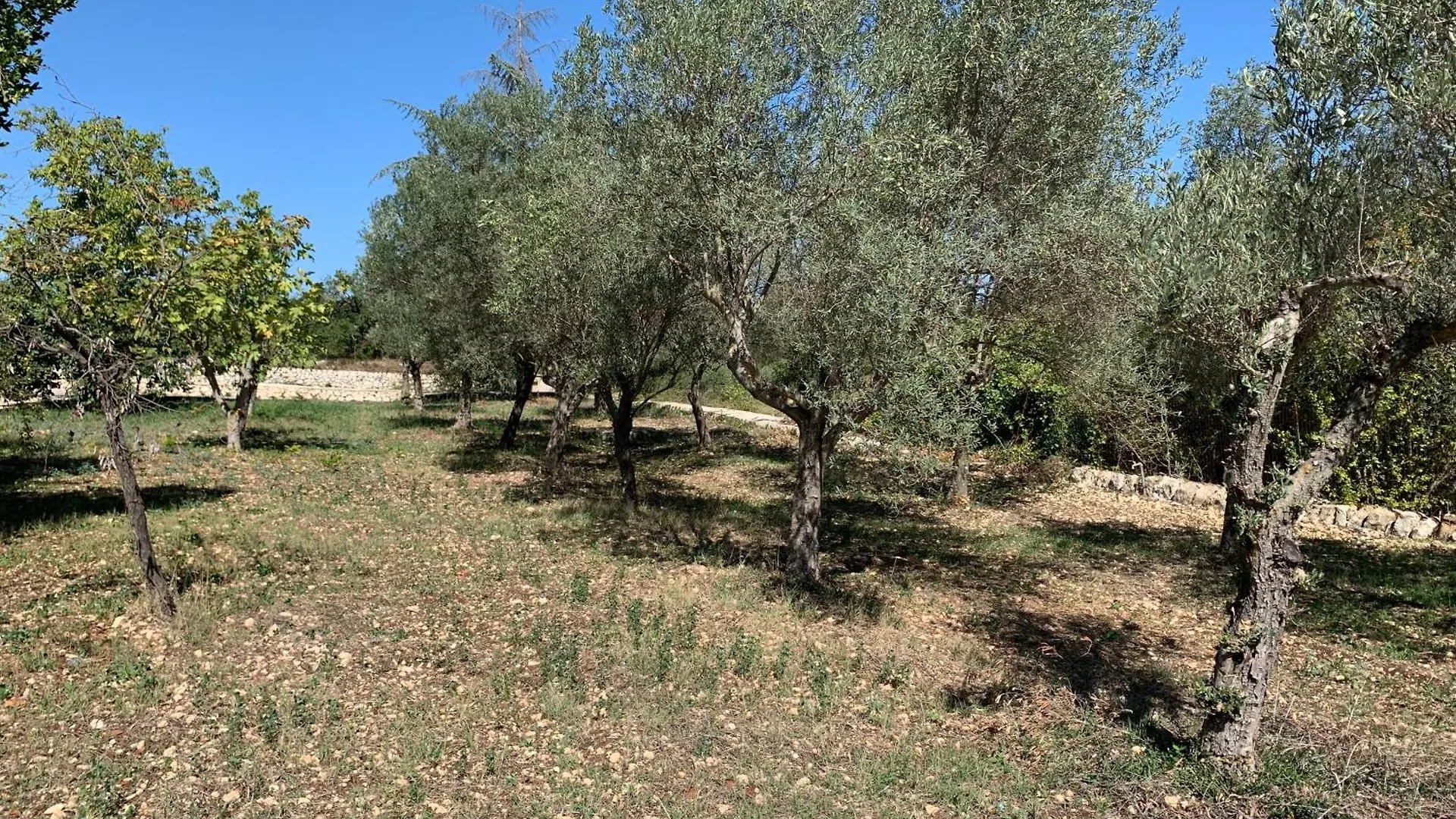 Villa Santa Lucia Noto 0*,